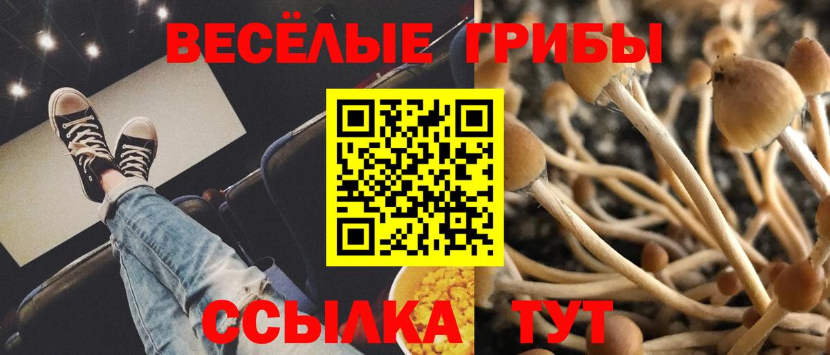 Псилоцибиновые грибы ЛСД Зеленодольск