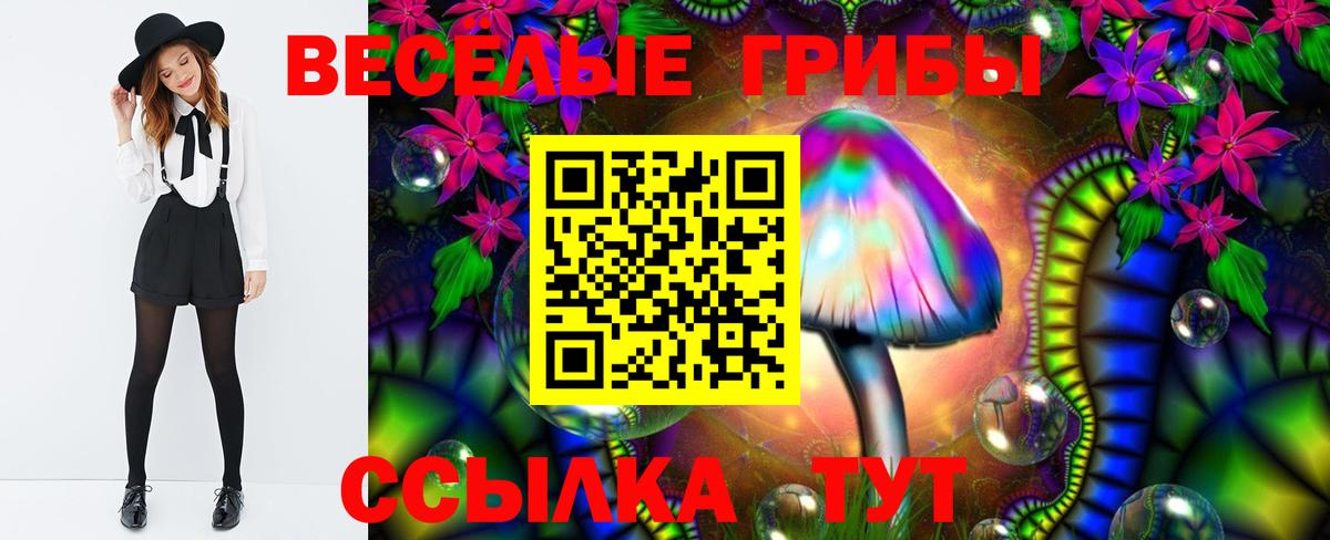 Зеленодольск  Галлюциногенные грибы Cubensis  Вход с VPN  Галлюциногенные грибы MAGIC MUSHROOMS 