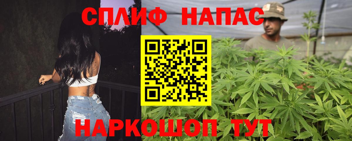 Конопля тримм  МАРИХУАНА семена  Вход с VPN  Марихуана White Widow  Каннабис индика  Зеленодольск 